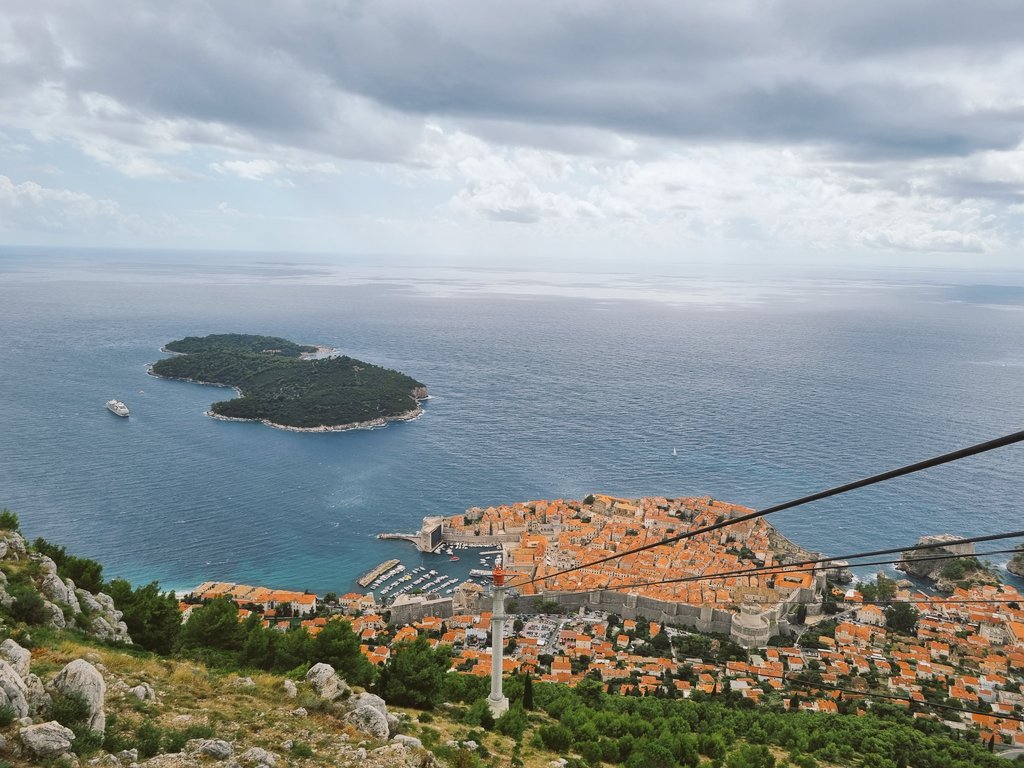 Shane Thomas tweet media