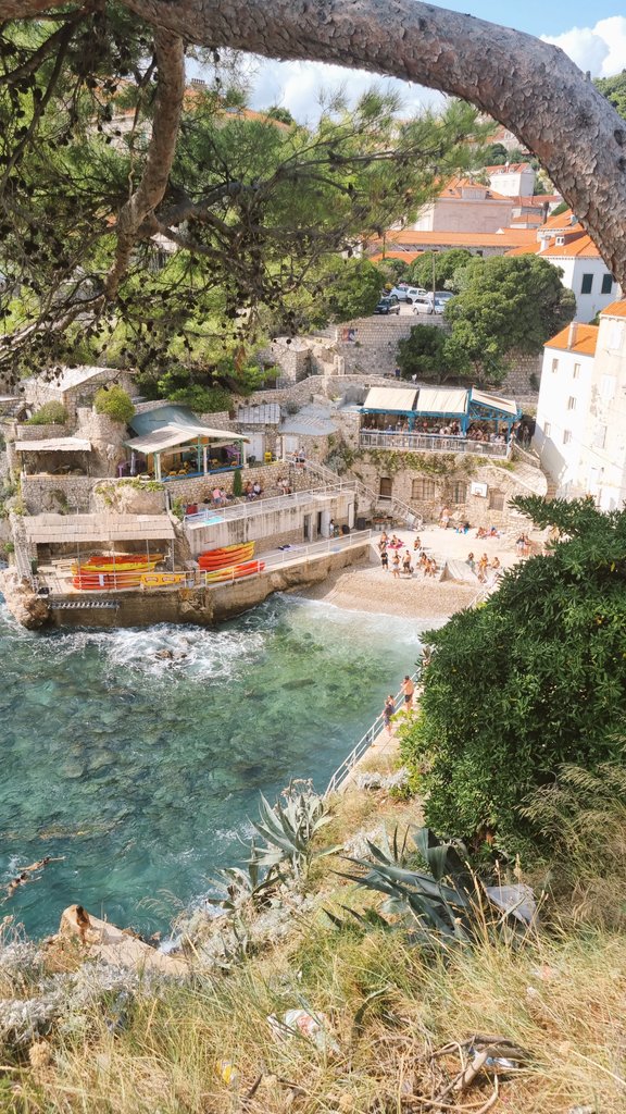 Shane Thomas tweet media