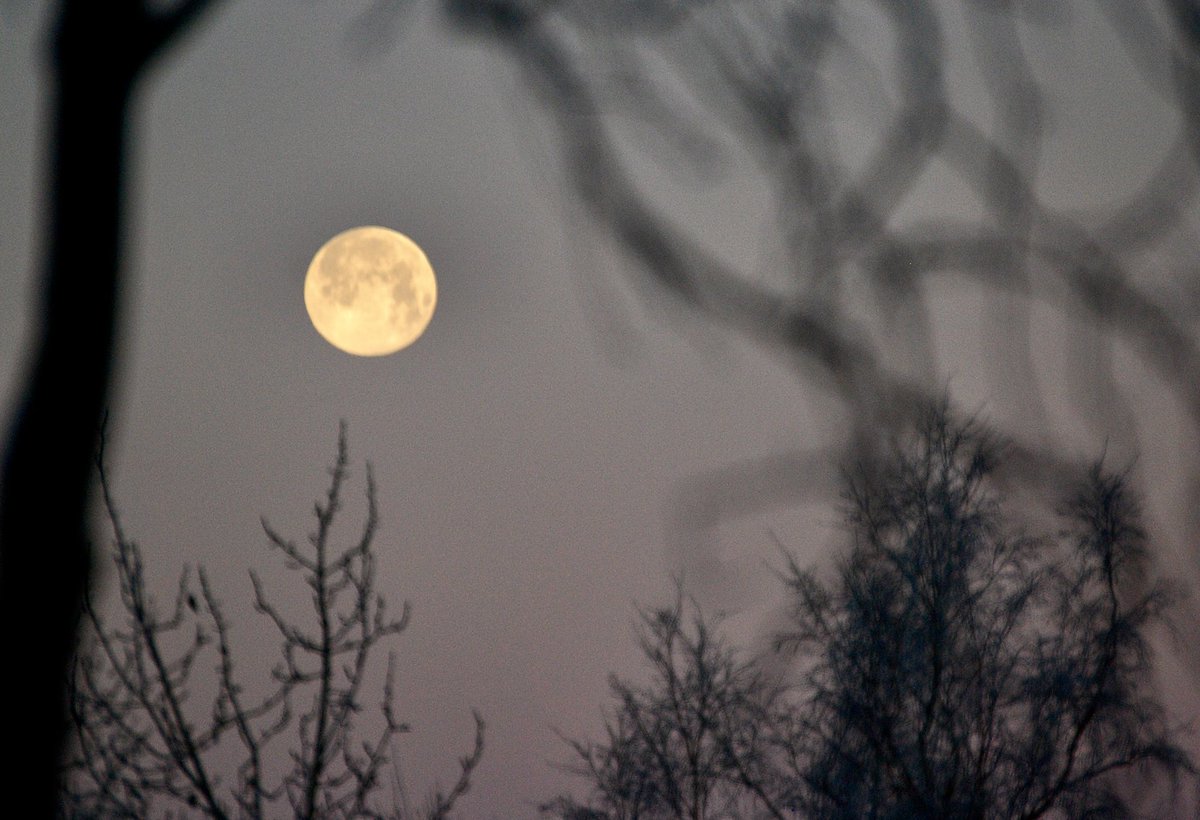 meiganalua's tweet photo. #Fullmoon in #Aniak, #Alaska 

 #hacerfotos  #ThePhotoHour #StormHour https://t.co/oK4E0IE8tP