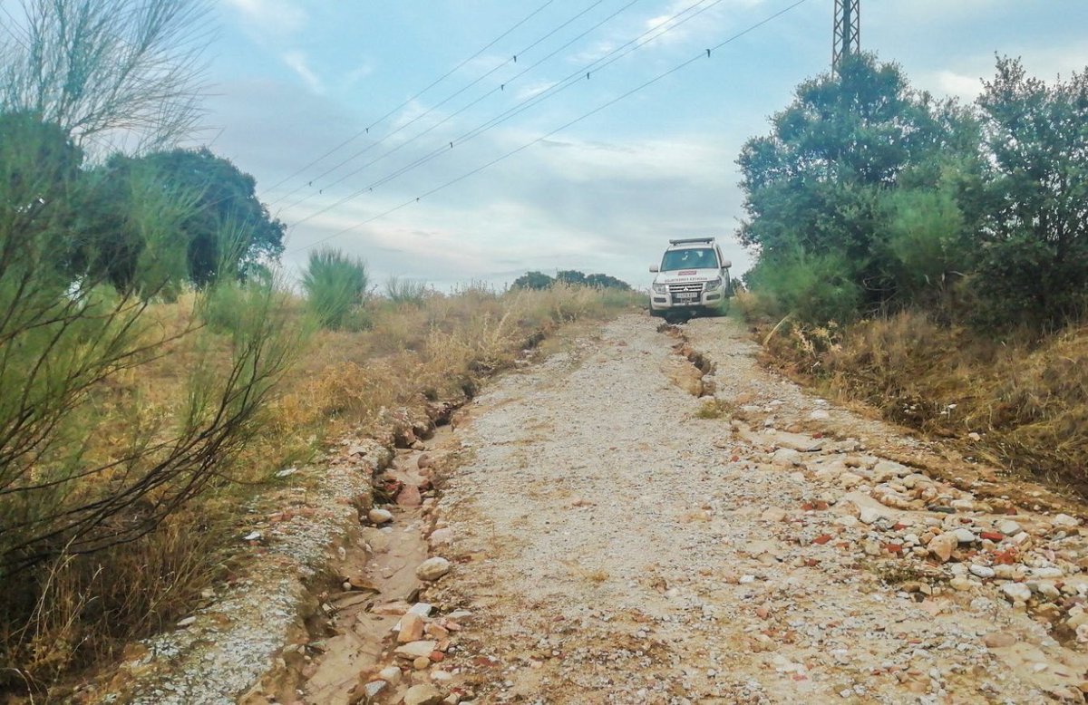 112 Comunidad de Madrid tweet media