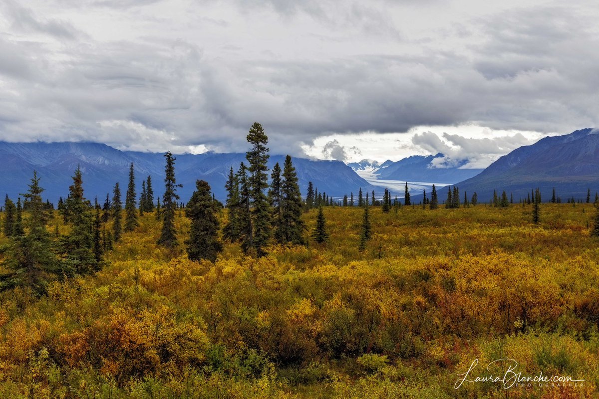 Everything we saw in Alaska was so vast and so awe inspiring, photos just don’t do it justice.  But these images spark the memory of it in my mind and that gives them value.  So thankful for the opportunity to visit this beautiful state.

#adventure #alaska #whatiloveabouttravel