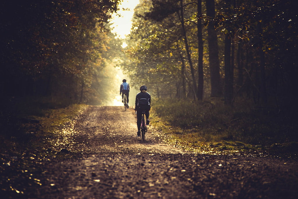 Riding into the Golden Season: Maximizing Your Autumn Gravel Cycling Adventures dlvr.it/SvlwjP