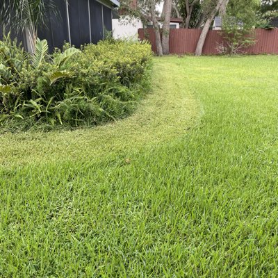 JriveraHandyman's tweet photo. #landscape https://t.co/Xmhps8Eckx