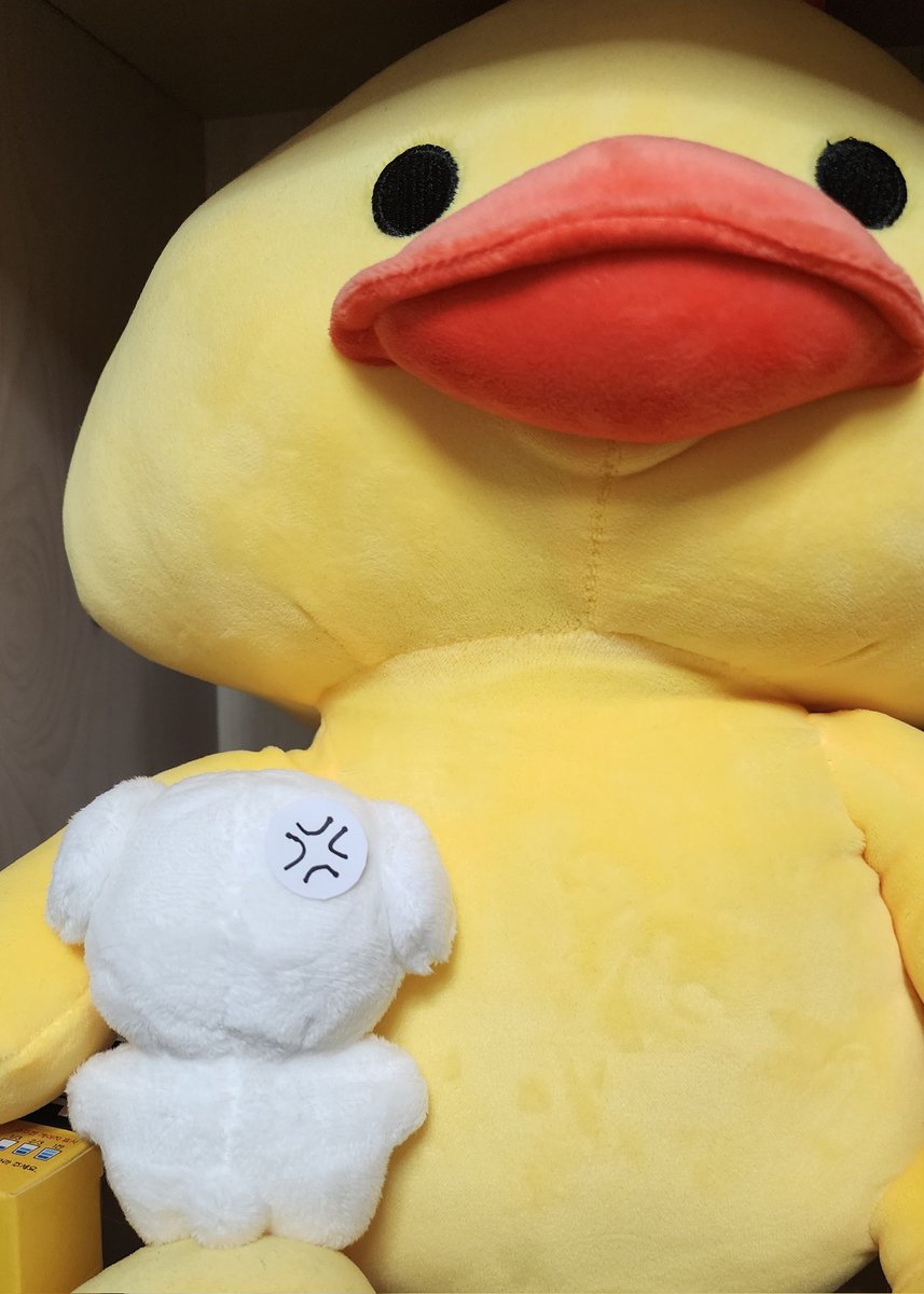 키뭉이 아직까지삐져서 오리품에서 안나옴..담 오프는 꼬옥같이가쟈 화풀오🥹❤️ 따룽한다 움쪽쪽😘