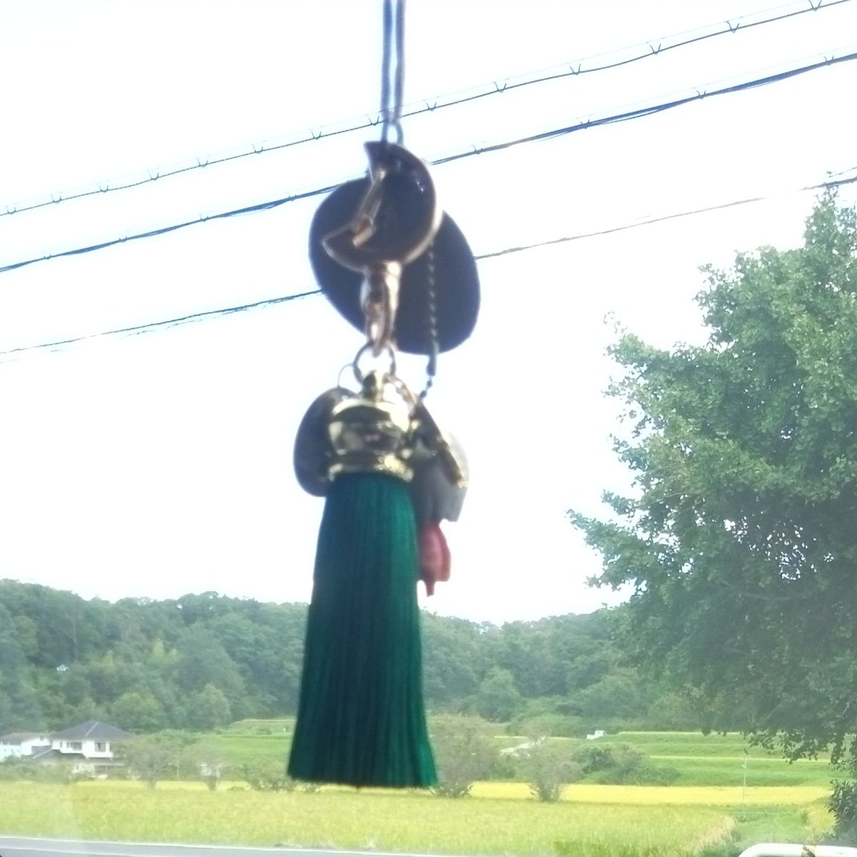 早く見つかりますように祈ります。