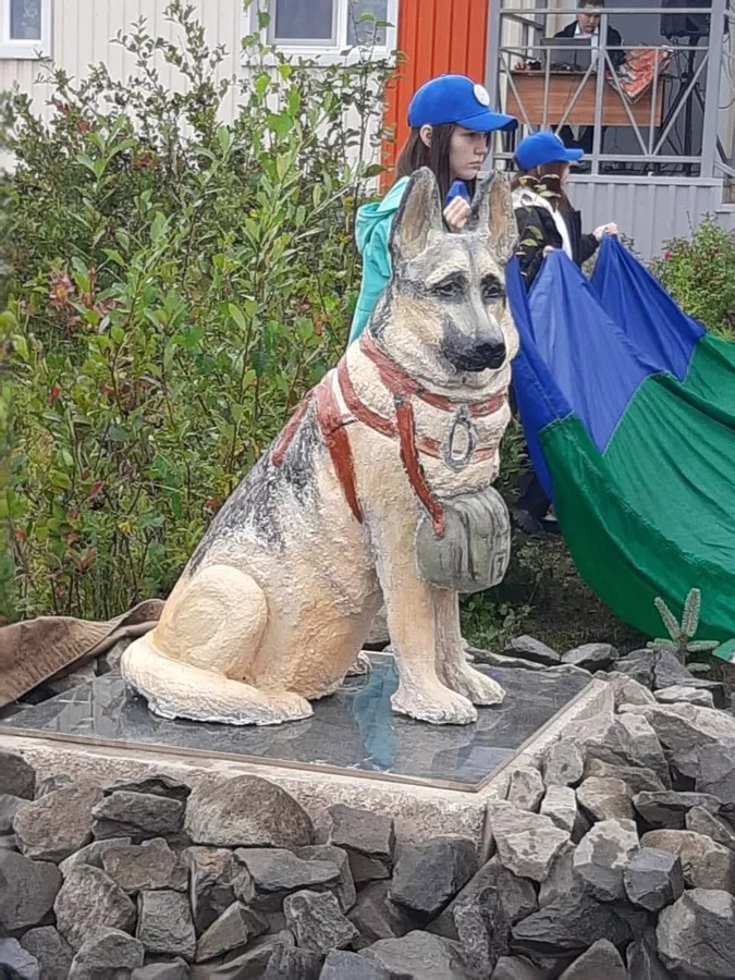 РИА Новости tweet media