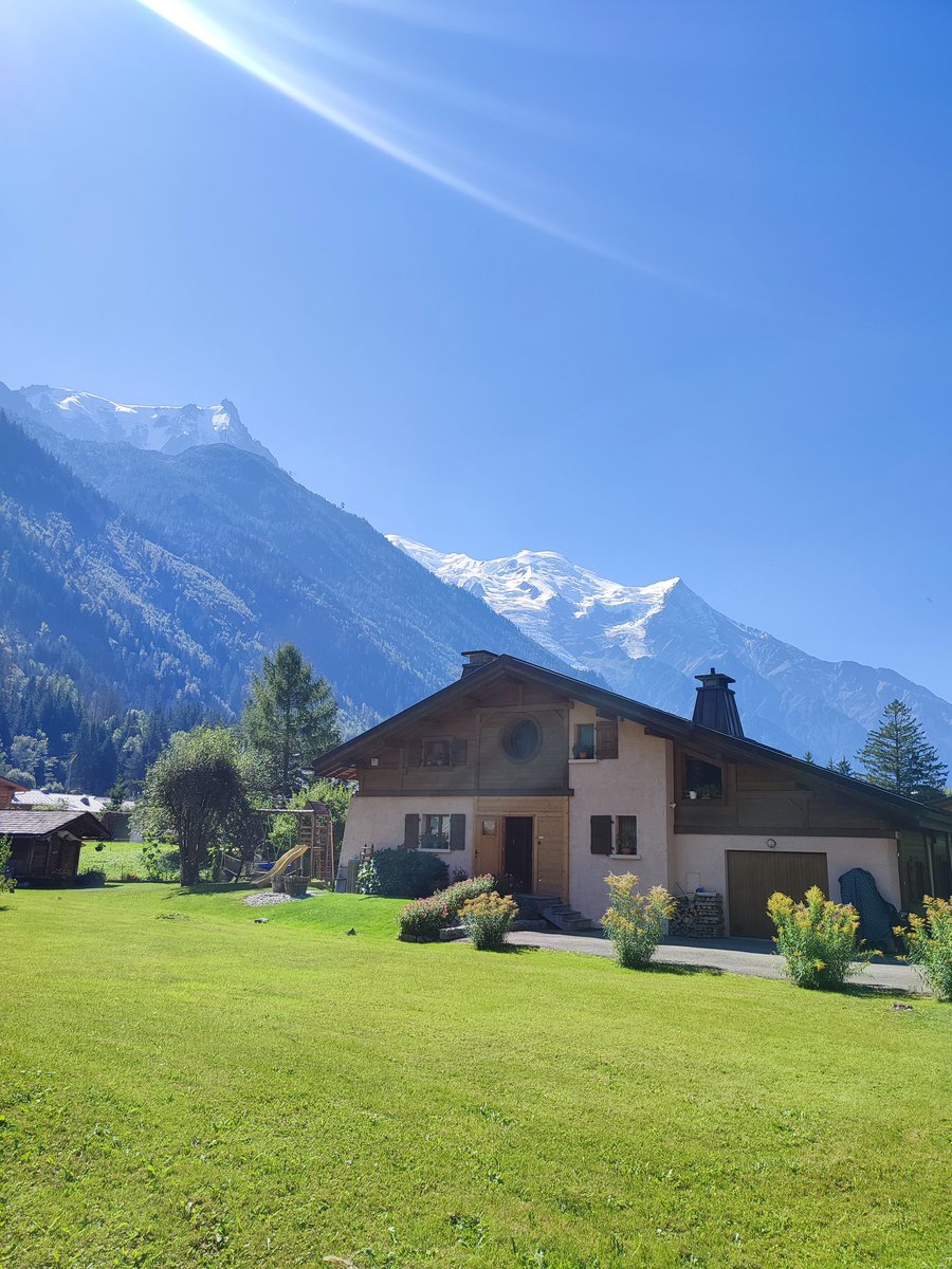 Mariano Botta tweet media