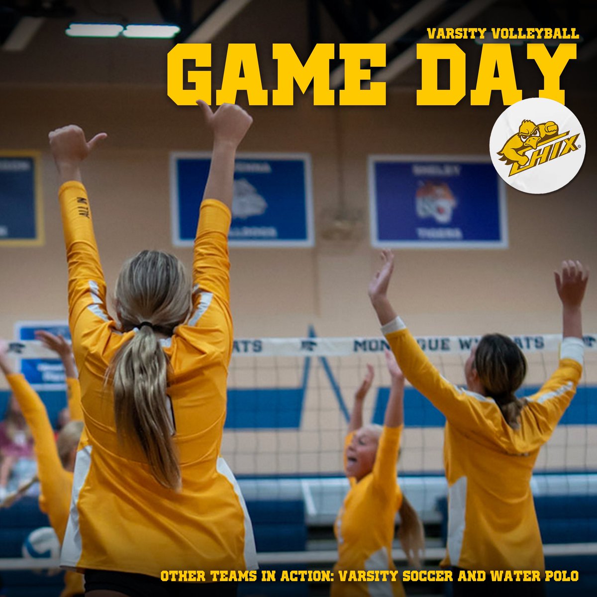 Volleyball at GR Union (5:00/6:00)
Soccer HOME vs ZWest (5:00/6:45)
Boys water polo at EGR (6:15/7:15)
Go CHIX and Go Z!