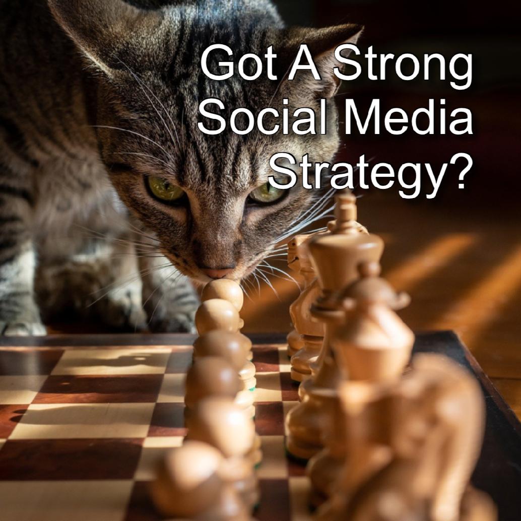 TOANguy's tweet image. More Leads Via Social Media ad.trwv.net/t.pl/1005/4361… #trafficwave #toanmlm #socialmedia #marketing #socialmediamarketing #digitalmarketing #instagram #branding #business #marketingdigital #seo #design #entrepreneur #graphicdesign #contentmarketing