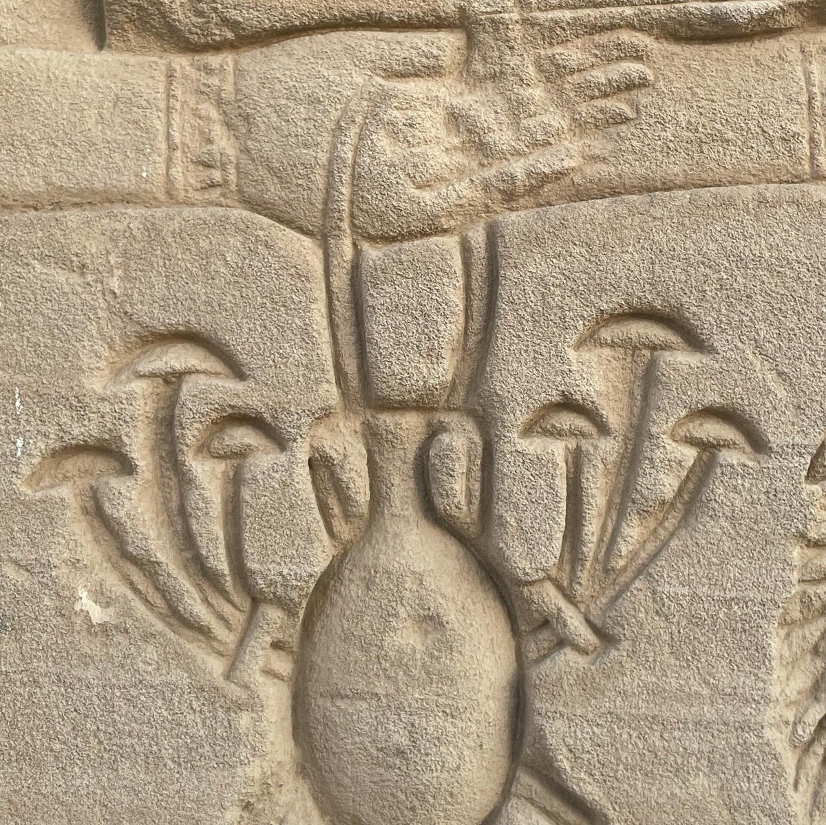 MuugMN's tweet image. Египтийн эртний дүрс бичиг дотор мөөгийг дүрсэлсэн байдаг. Ингэхээр мөөг хүн төрөлхтөнтэй их эртнээс холбоотой байж иржээ гэдгийн нотолгоо чулуун дээр хүртэл сийлээстэй байна...