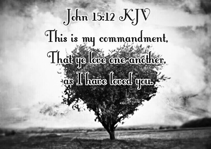 KJV ✝️🇬🇧 tweet media
