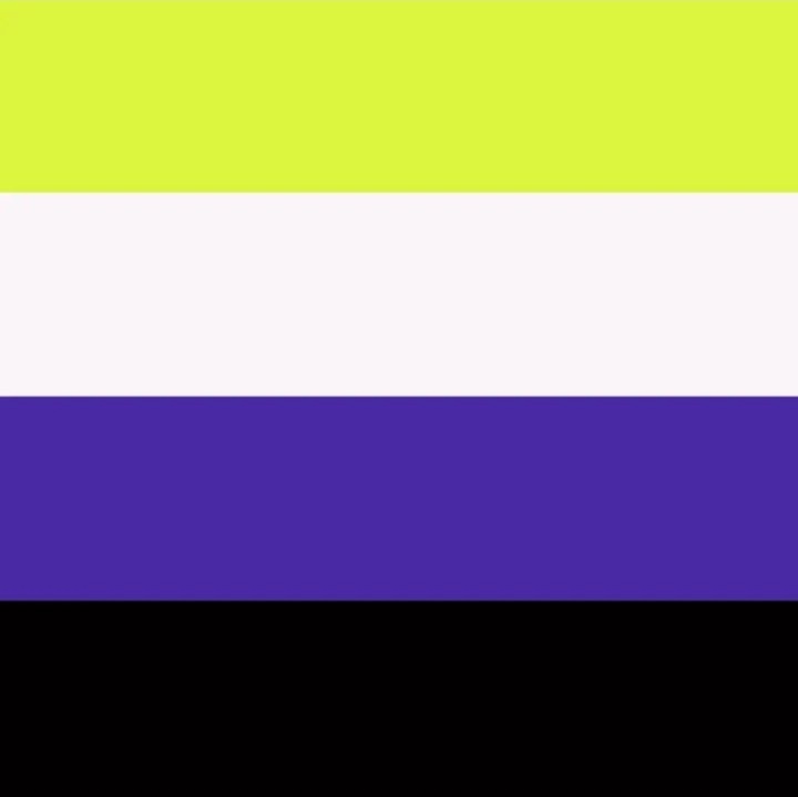 getprideflagged's tweet photo. Nonbinary, Agender, and Bi pride flags colorpicked from Gex (1/2) https://t.co/OOjdDybmdH