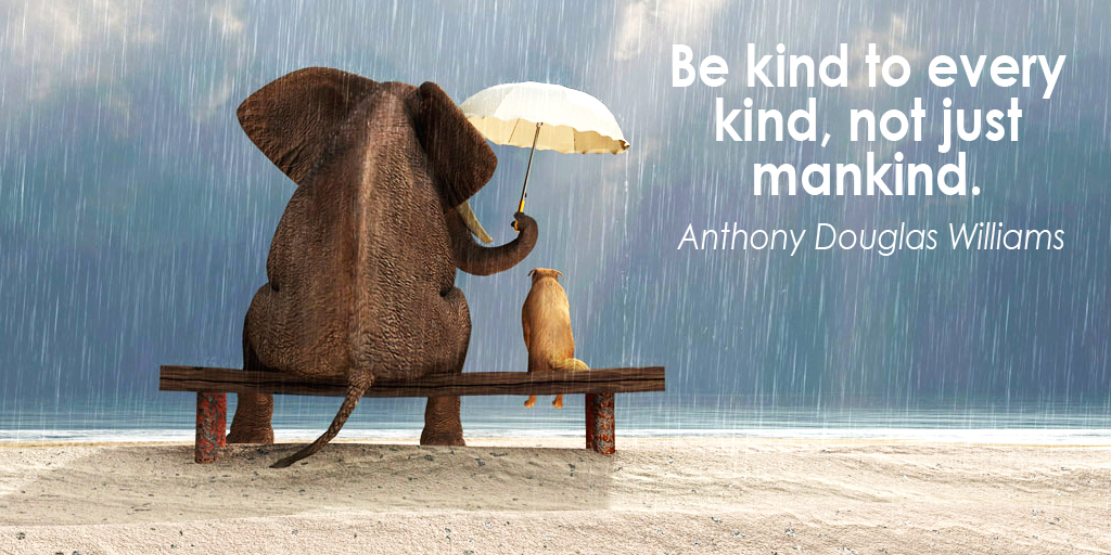 Be kind to every kind, not just mankind. - Anthony Douglas Williams #quote #ThankfulThursday