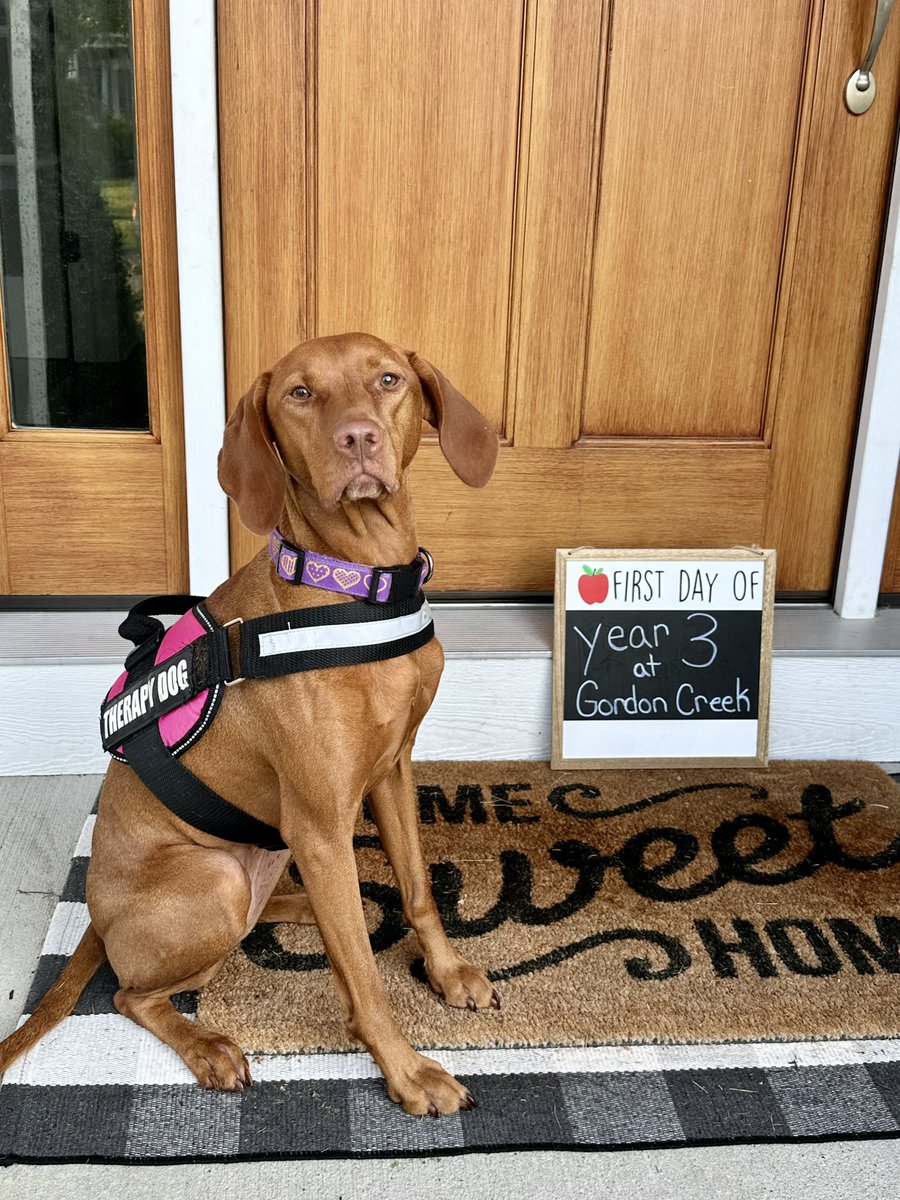 Ruby the Therapy Dog tweet media
