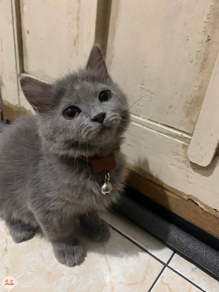 tunjukin kcg! kalian yang super duper nakal itu tapi pasang muka polos. i’ll go first