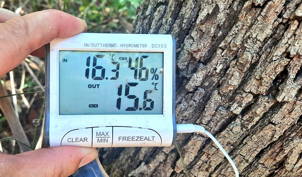 Vakapiupiu's tweet photo. @egarensis79 @quimtorrella Avui 19.5° a linia de mar, 15.6° a la Riera de Jafre #Ribes amb 21.4°C a les 11 h quan he mirat les dades.
La setmana passada, un dia va baixar a 11.5 graus aquí! Un des punts freds del Massís de #Garraf
(Avui 15.2° sobre les Masies de #Jafre)
De dia estem a 27 29°C ! Afluixa https://t.co/dRuCNkUadw
