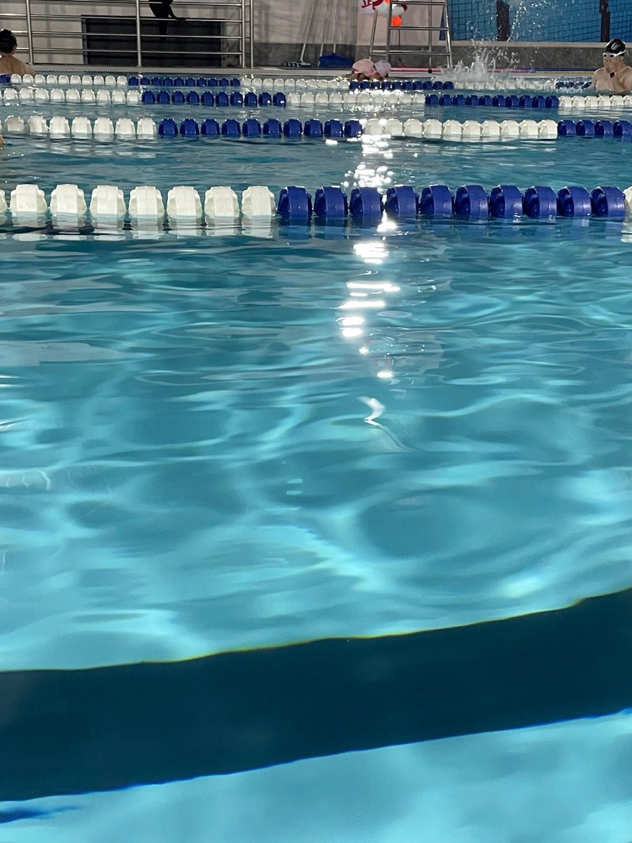 friendszonez's tweet photo. I haven't swam in a long time, so I went swimming today. 🏊🏻‍♀️ https://t.co/yj4a7Doczx