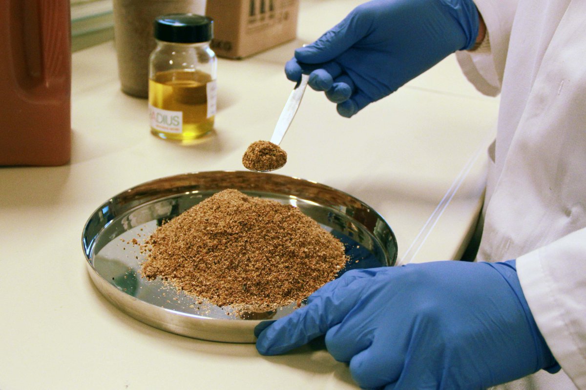 ValuSect is driving insect-based food and feed innovation in NW Europe🦗🍽️
We've assisted 47 #SMEs from7⃣countries, saving them valuable time, providing in-depth research insights, tailor-made solutions and strong support♻️🇪🇺

Read our policy brief here▶️bit.ly/485gi1F