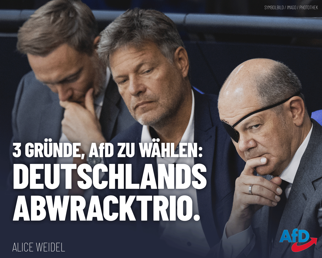 Es gibt viele Gründe, die #AfD zu wählen - hier sieht man nur drei davon. Was die hier abgebildeten Herrschaften unserem Land und der Zukunft unserer Kinder antun, ist kaum mehr in Worte zu fassen. Umso wichtiger ist es, in #Hessen und #Bayern damit zu beginnen, #FDP, #SPD,