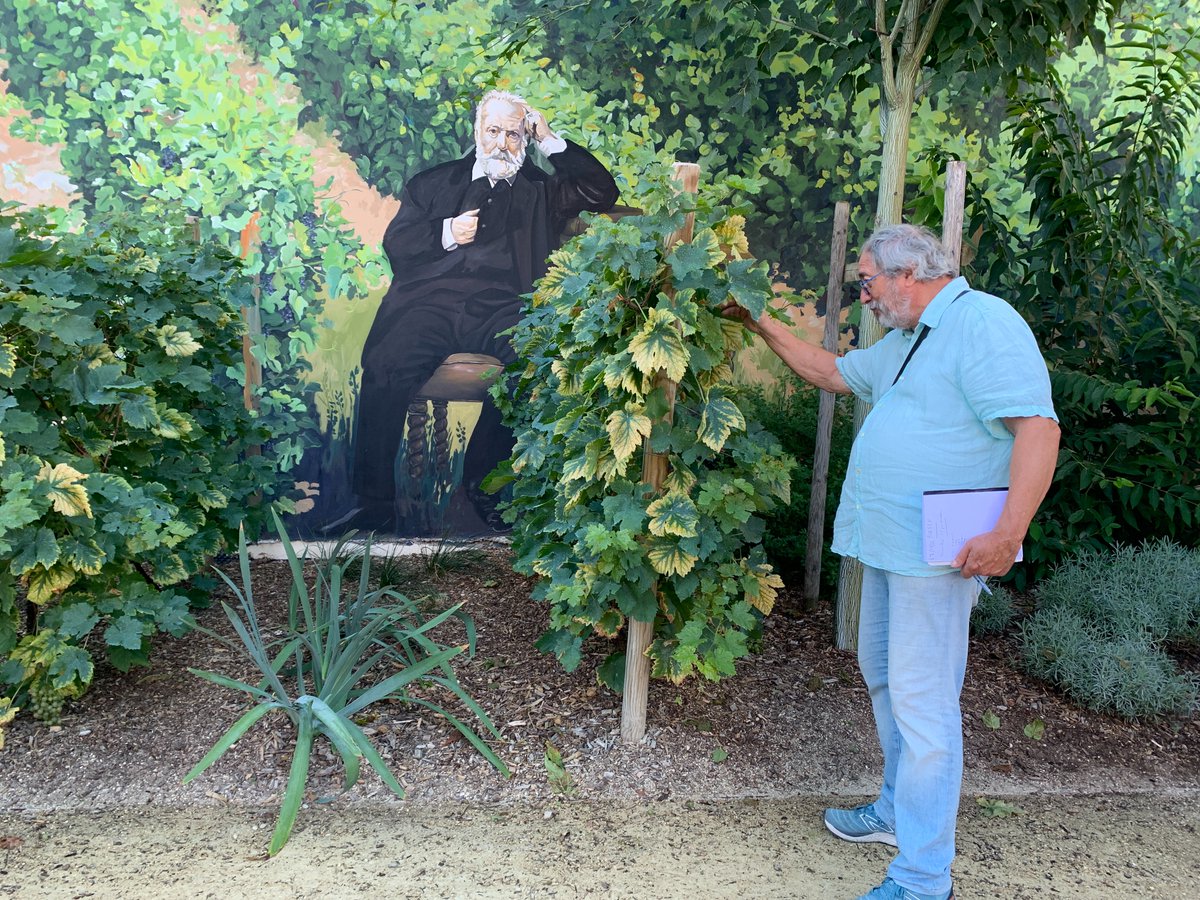 villepoissy's tweet photo. La Ville de Poissy, déjà labellisée 3 fleurs, a reçu la visite du jury du concours des villes et villages fleuris. Accompagnés d’élus et d’agents, ses membres ont parcouru la ville se rendant au square des Vignes de Hugo, sur le chemin du bord de l’eau et dans le parc Meissonier. https://t.co/PkO4E5f4kG