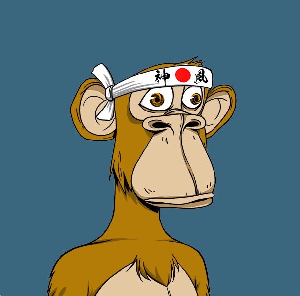 Dr. Novo 🍌 tweet media