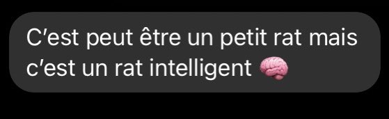 SurUnFil_'s tweet image. La réponse d’Alan quand je lui ai dis ça 😭😭