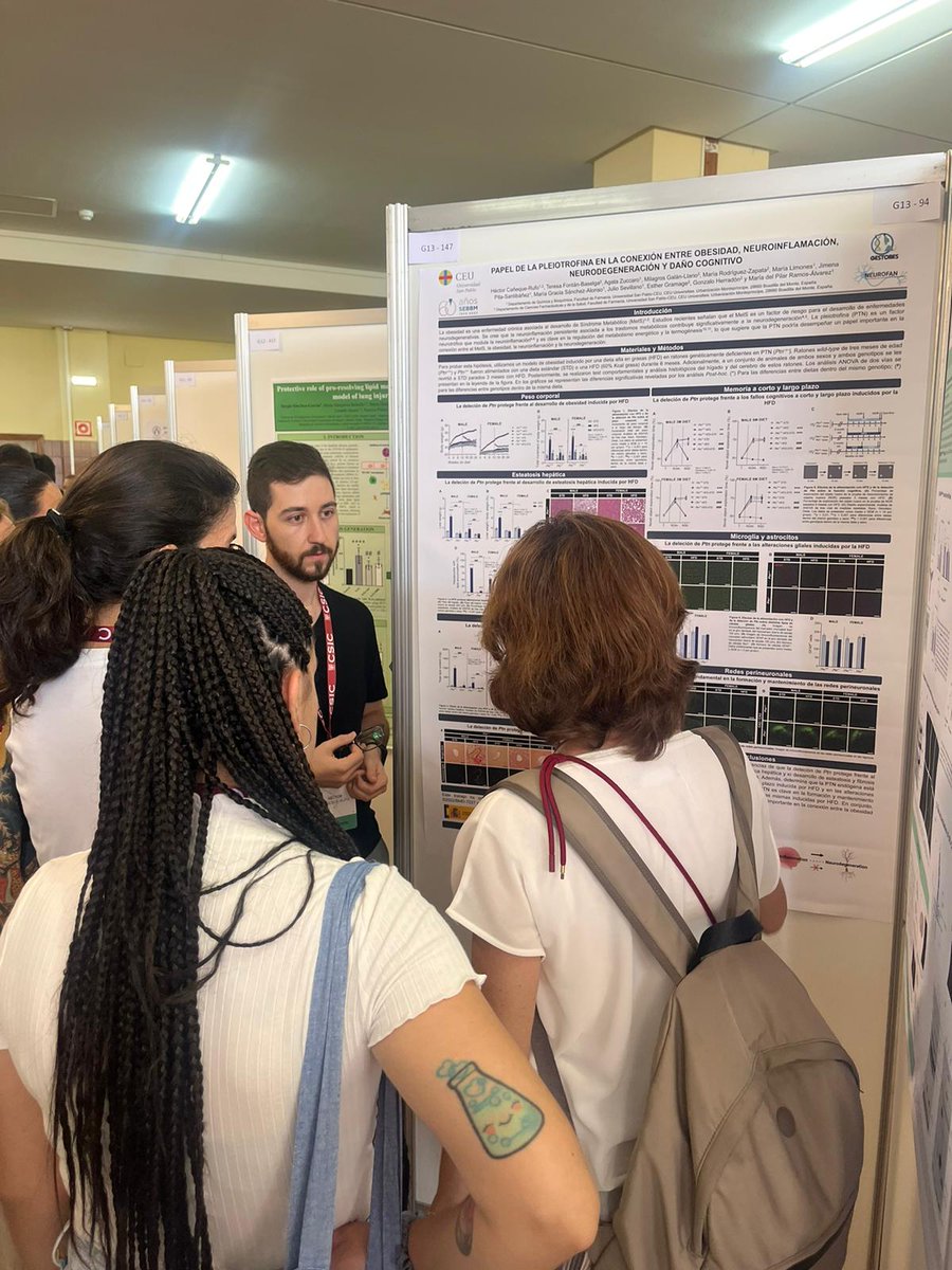 <a href="/Hector_Canneque/">Héctor Cañeque-Rufo</a> presenta su trabajo sobre el papel de la #Pleiotrofina en la conexión entre el síndrome metabólico y el desarrollo de enfermedades neurodegenerativas en el #45congresosebbm <a href="/SEBBM_es/">SEBBM</a>.

<a href="/gestobes/">GESTOBES</a> <a href="/USPCEU/">Universidad CEU San Pablo</a> <a href="/USPCEUprensa/">USPCEU prensa</a>
