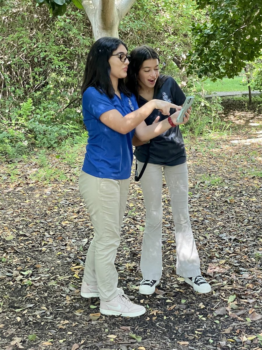 andrewkearns64's tweet photo. Grade 9 Research 1 studentsβ first experience birding at @josemartimast in our #nativearboretum - and using of the @MerlinBirdID app to identify bird species! ππΏ #mast2324 @FairchildGarden @ABA @ABCbirds @tropicalaudubon @CasualBirderPod @fl_native_plant @DadeFNPS @MDCPSSTEAM https://t.co/ZzkGluYkJp
