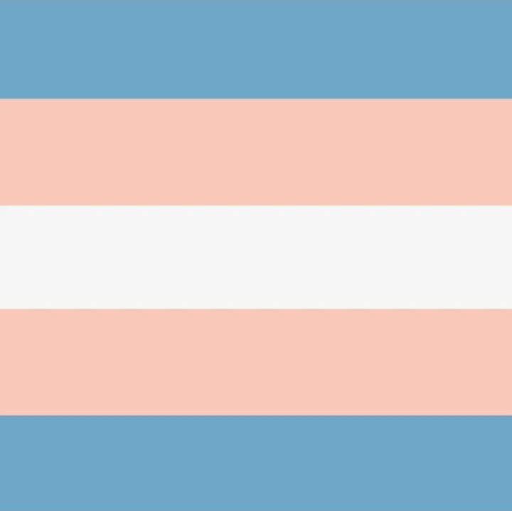 getprideflagged's tweet photo. Trans: Pasqually
(4/4) https://t.co/Lz2Jlmcope