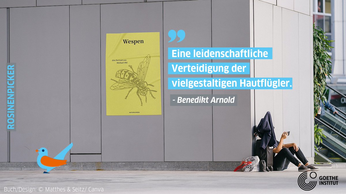 Sie gilt als Plage des Sommers – dabei hat sie vor allem Gutes zu bieten. Unser Rezensent Benedikt Arnold hat sich im #Rosinenpicker auf #DeutschlandNoFilter Michael Ohls Buch über die #Wespe und ihre unschätzbare Rolle in unserem Ökosystem angeschaut.

goethe.de/prj/ger/de/ihr…