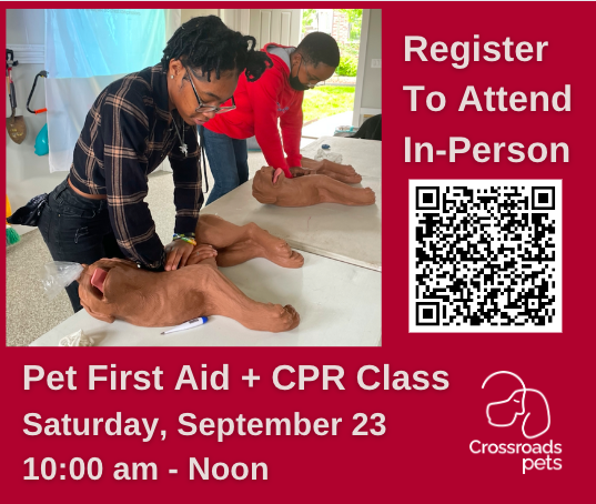 CrossRdsCampus's tweet photo. Crossroads Pets is offering a Pet First Aid + CPR class to help you learn what to do in a pet medical emergency. You don’t need any previous medical training to attend.
https://t.co/3aWbeM70wL
#pethealth #pets #cats #dogs #dogsofnashville #nashville #happypets #familyfriendly https://t.co/RToro9N80F