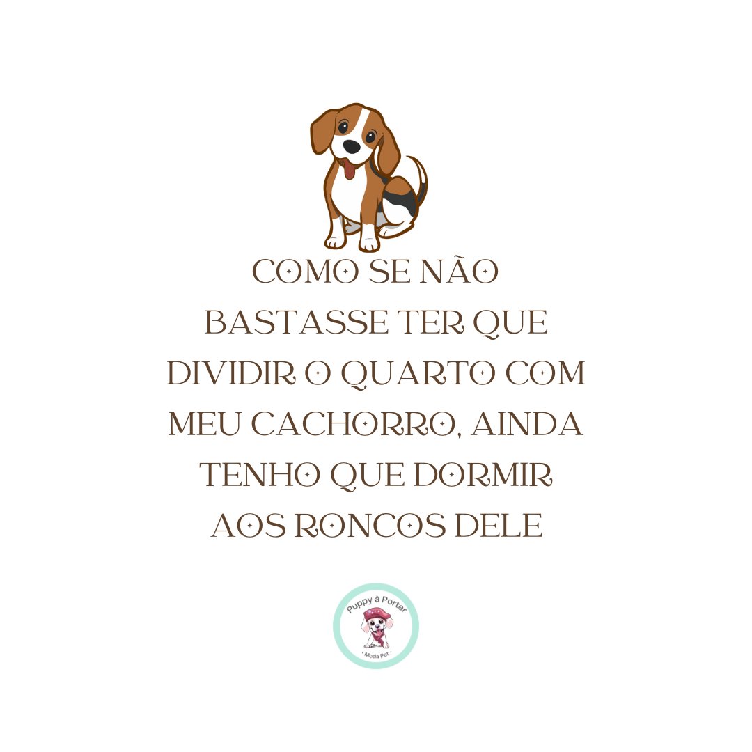 puppyaporter's tweet image. 💤🐶Dizem que é uma conspiração canina para testar sua paciência e resistência ao sono😂

Acontece aí também?

Puppy à Porter – Carinho e conforto para o seu pet❤️🐾

#roupapet #roupinhapet #roupapracachorro #roupinhapracachorro #VidaComCachorro #QuartoCompartilhado #RoncosCanino