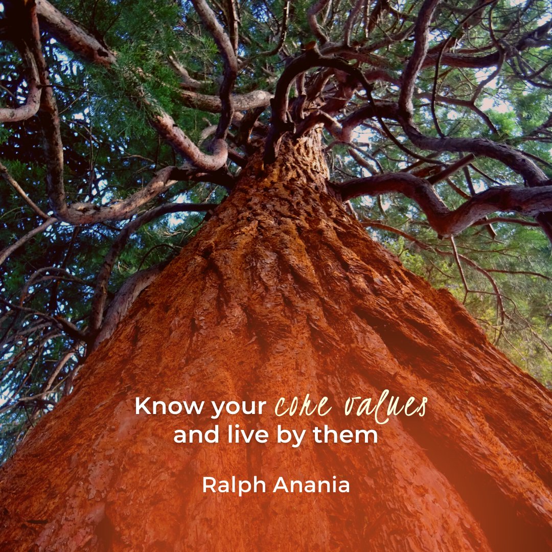 RalphAnania's tweet photo. Do you know your core values? 

Your core values are developed and defined in response to what you’ve experienced in your life. 

You’ll know what they are once you live by what really matters to you.

#morganjamespublishing #barnesandnoble #powellbooks https://t.co/R4bujJAQhg