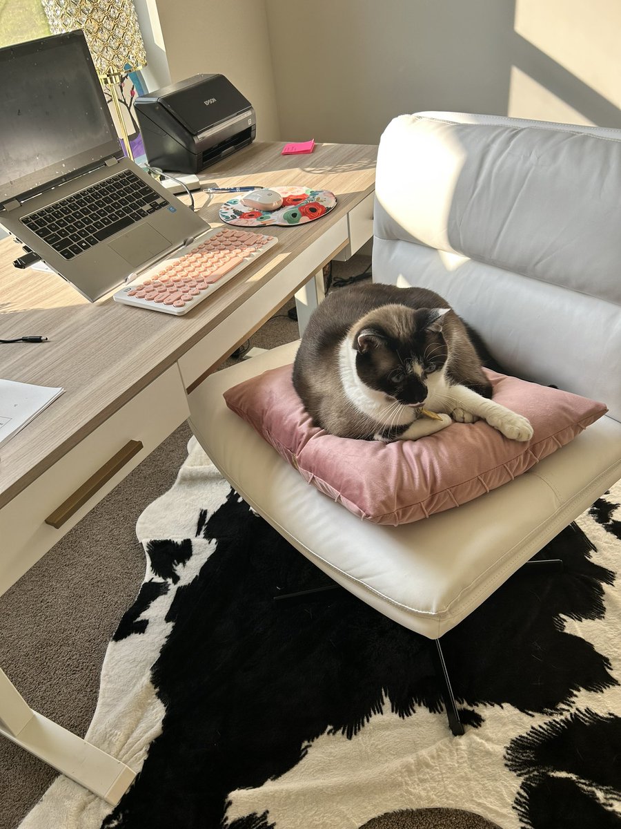EHayleyAuthor's tweet photo. I guess I’ll just work on the floor today because he’s too cute to move. #PetLovers #coworkers #writinglife https://t.co/uhdDjubIS2
