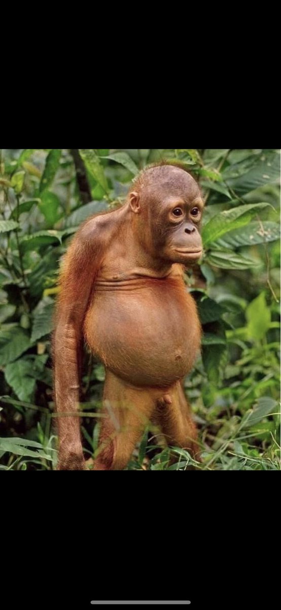 Llevo a mi novia a casa

Mi putisimo padre en el salon viendo la tele de la manera mas exótica posible: