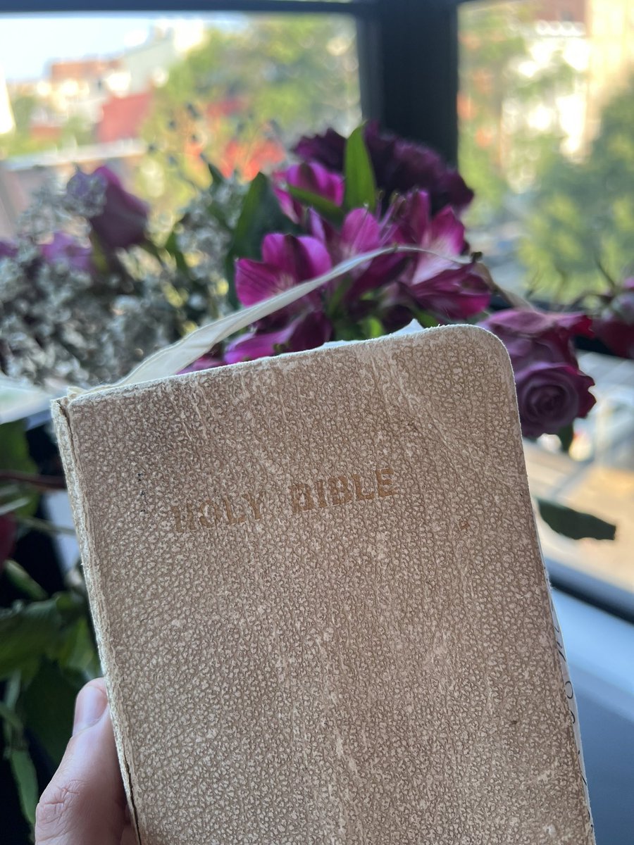 Austin Armstrong, MD tweet media