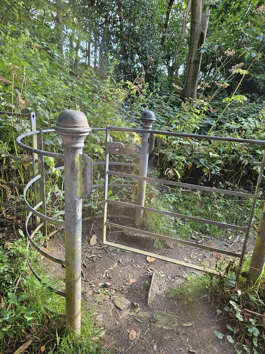 David Bennie tweet media