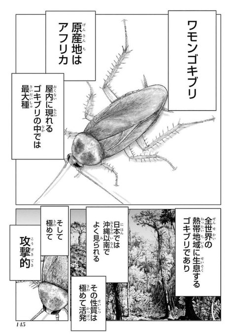 褐色全裸少女とホームレス少女が殴り合いで決着をつける漫画(4/9) 