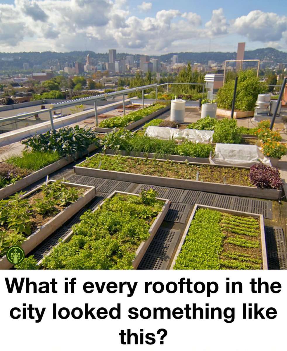 This could absolutely be a thing in every city! 👩‍🌾🌇💯
#rooftopgarden #commercialrealestatesolutions #urbanfarming #growlocal #cityfarm #feedthesoilharvestthefuture