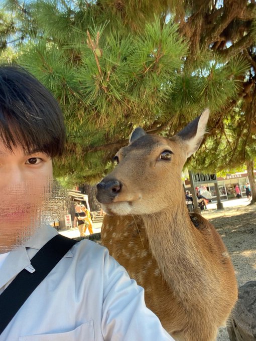 鹿さんと2ショットしたー！ https://t.co/ksOzwsHtn2<a href="/tag/%E3%82%B2%E3%82%A4"class="tags"><span>#ゲイ</span></a><a href="/tag/%E3%83%90%E3%82%A4"class="tags"><span>#バイ</span></a>