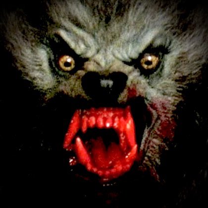 StephanieSermon's tweet photo. I know it’s not #WerewolfWednesday, but I genuinely, honestly feel like there’s not even nearly enough #Werewolf love/appreciation on #Twitter!

So let’s make this #WerewolfWeek!

I wanna see pics, memes, fan art, gifs, vids, you name it; all containing/related to #Werewolves! https://t.co/zb36NpYXFx