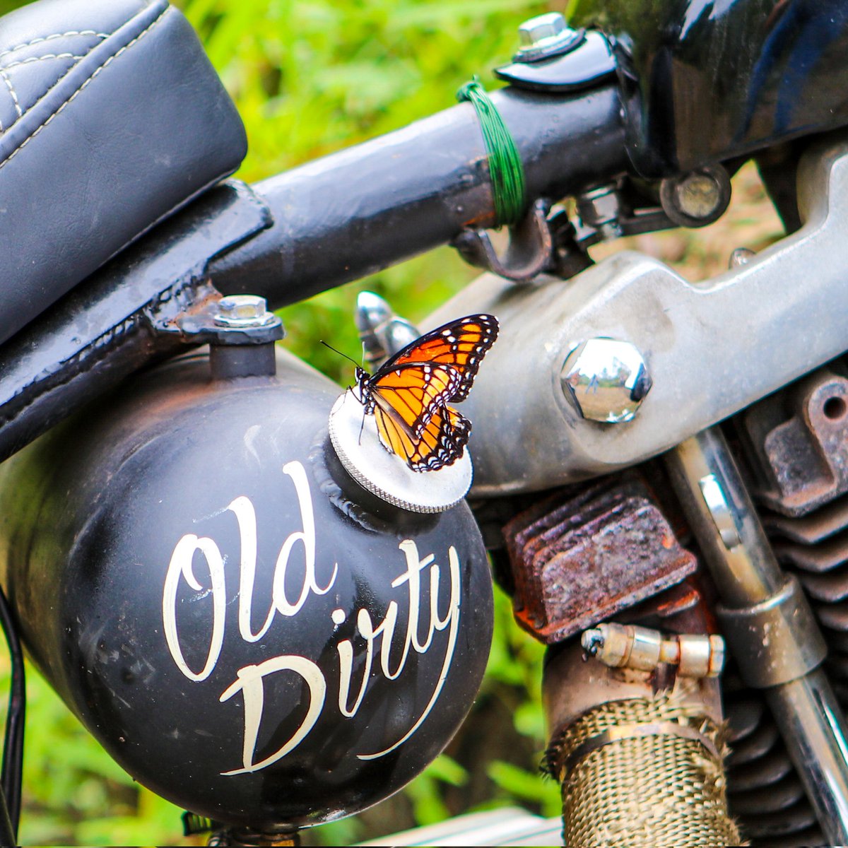 When you see an attractive woman with a greasy biker....