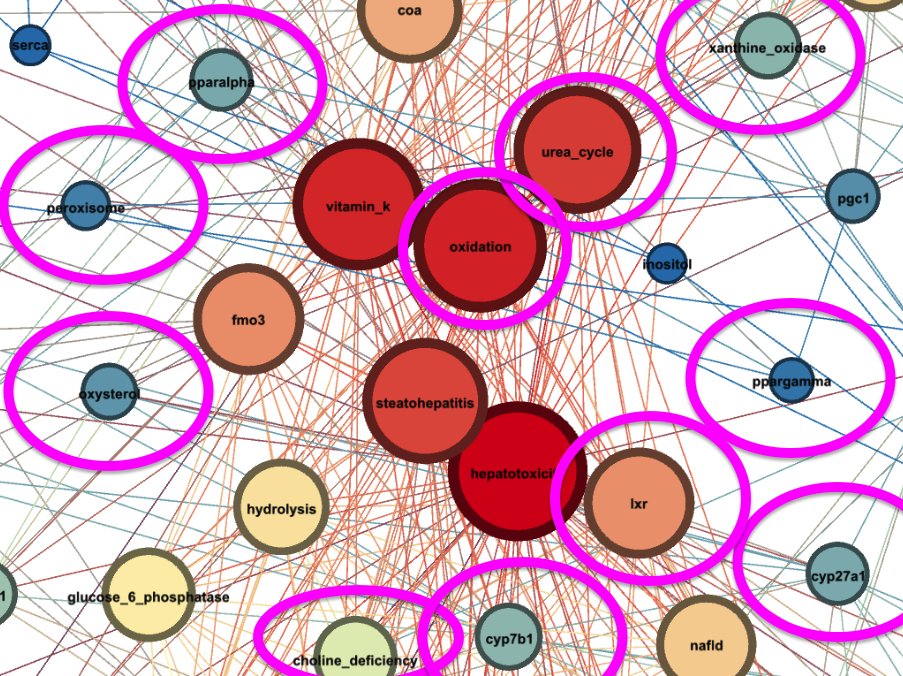 lifeanalytics's tweet image. 1/ I am writing a document where I will include all #AI and #networkanalysis generated research targets that have been confirmed at a later time by conventional research.  For #networkanalysis (generated in 2017) it looks like this : (each annotation = confirmed target)