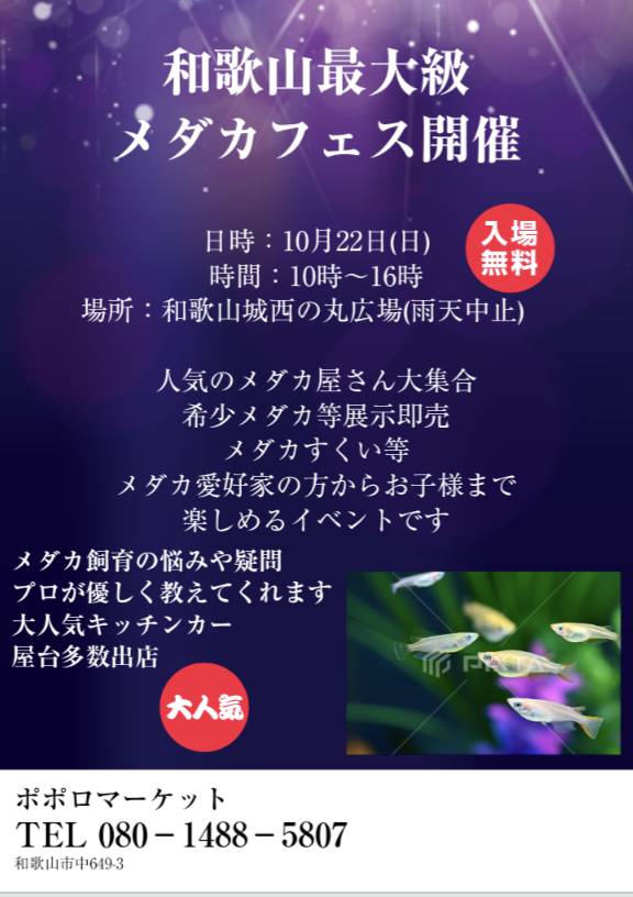 cx3t's tweet photo. リポスト希望！
2023年10月22日(日)和歌山城で行われるメダカフェスに出店します！！
入場無料！見るだけでもOK。是非来て下さい！
#和歌山  #和歌山城  #イベント #めだか #メダカ #フェス #キッチンカー #メダカすくい #メダカまつり https://t.co/lber2m84PY