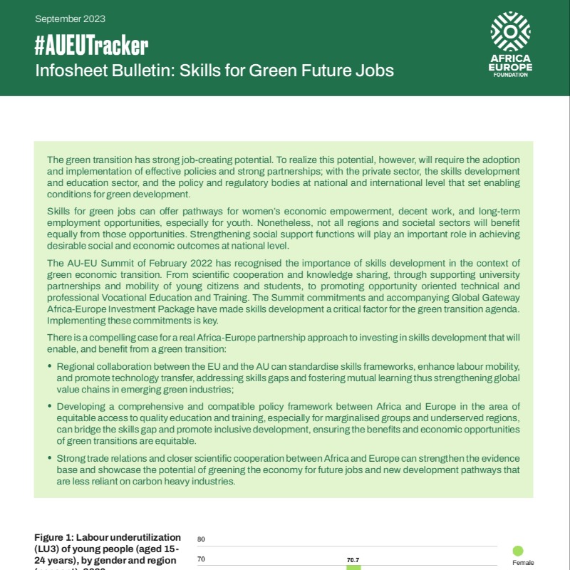 AfricaEuropeFdn's tweet photo. 🚨Emerging from the #AfricaClimateSummit, whose focus was to drive green growth &amp; climate finance solutions, it is clear citizens must be empowered with skills for #greenjobs.

🍃The green transition has strong job-creating potential our latest #AUEUTracker infosheet explains⤵️