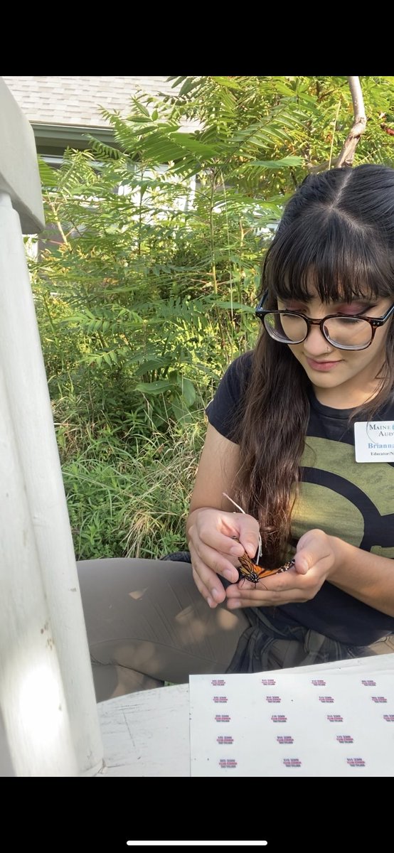 buceau_'s tweet photo. Happy week for me: tagging and releasing two monarchs (and angered spp.) we raised at work. One male and one female. I wish them well on their upcoming 3000 mile migration!!! https://t.co/Ls4ZQl9Fon