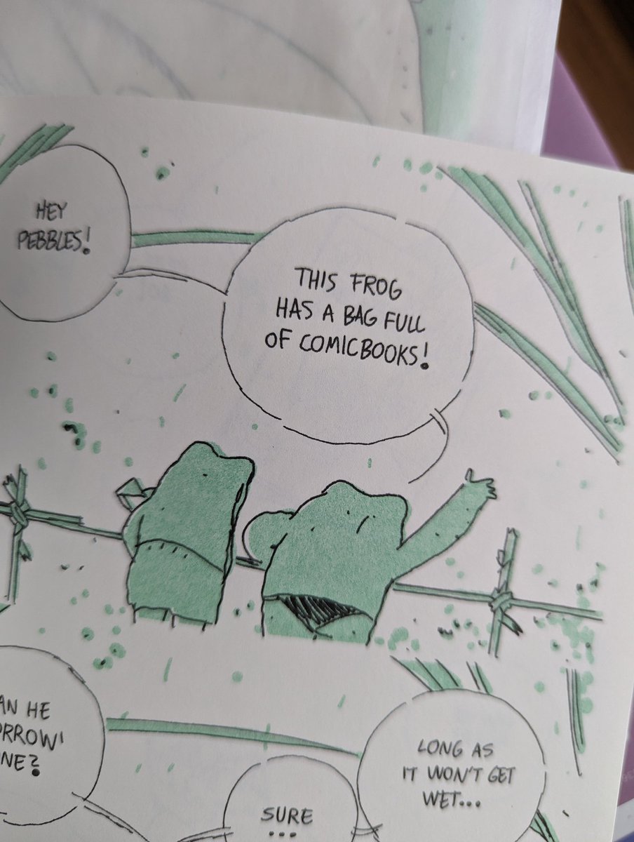 This special small frog book is re-available again now at spx. @turndecassette 's rainy summer day