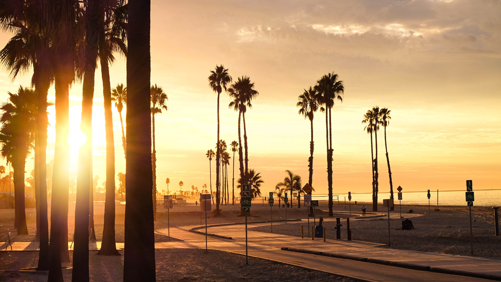 California State University Office of the Chancellor posted an opening - Senior Director, Arbitration Lead - on CALPELRA's Job Board. #publicagencyjobs #governmentjobs #calstatejobs #laborrelationsjobs #arbitrationleadjobs #employeerelationsjobs
bit.ly/JobBdCalStateC…