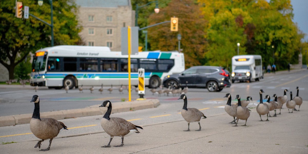 Wishing you all the best as you head to class. Welcome to #WesternU! #WesternClassOf2027,continue to follow @westernusc for the latest updates on #OWeek2023 programming and @westernuSE for academic and wellness supports available to you at #WesternU.