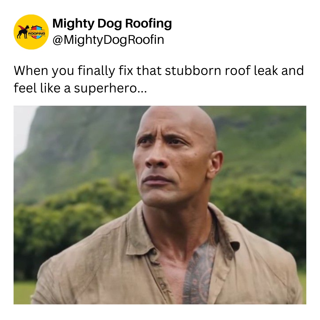 MightyDogRoofin's tweet photo. *inhales...Nothing can stop me now!😏 https://t.co/1YLztMzuhv